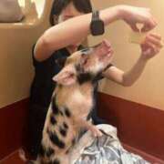 ヒメ日記 2025/03/27 13:18 投稿 羽田野いろは 性感回春アロマSPA金沢店