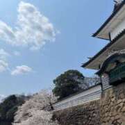 ヒメ日記 2025/04/09 08:33 投稿 羽田野いろは 性感回春アロマSPA金沢店