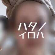 ヒメ日記 2025/05/08 15:18 投稿 羽田野いろは 性感回春アロマSPA金沢店