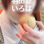 ヒメ日記 2025/05/10 11:03 投稿 羽田野いろは 性感回春アロマSPA金沢店