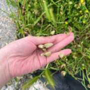 ヒメ日記 2025/05/17 12:57 投稿 羽田野いろは 性感回春アロマSPA金沢店