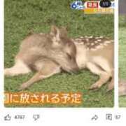 ヒメ日記 2025/06/08 17:03 投稿 羽田野いろは 性感回春アロマSPA金沢店