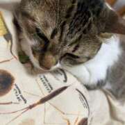 ヒメ日記 2025/09/15 22:00 投稿 羽田野いろは 性感回春アロマSPA金沢店