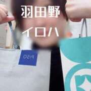 ヒメ日記 2025/10/29 15:18 投稿 羽田野いろは 性感回春アロマSPA金沢店