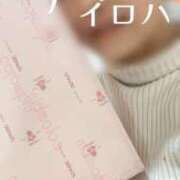ヒメ日記 2025/11/11 21:48 投稿 羽田野いろは 性感回春アロマSPA金沢店