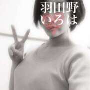 ヒメ日記 2025/11/27 14:06 投稿 羽田野いろは 性感回春アロマSPA金沢店