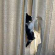 ヒメ日記 2025/11/28 12:33 投稿 羽田野いろは 性感回春アロマSPA金沢店