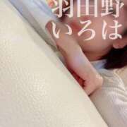 ヒメ日記 2026/01/01 10:33 投稿 羽田野いろは 性感回春アロマSPA金沢店