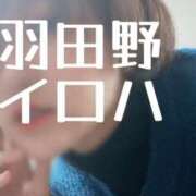 ヒメ日記 2026/03/04 11:57 投稿 羽田野いろは 性感回春アロマSPA金沢店