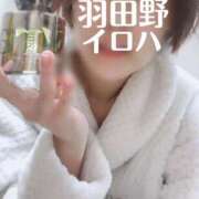 ヒメ日記 2026/03/11 12:33 投稿 羽田野いろは 性感回春アロマSPA金沢店