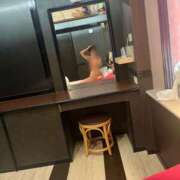 ヒメ日記 2026/03/26 18:33 投稿 羽田野いろは 性感回春アロマSPA金沢店