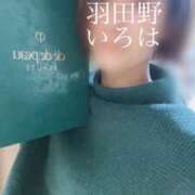 ヒメ日記 2026/05/18 14:18 投稿 羽田野いろは 性感回春アロマSPA金沢店