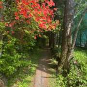 ヒメ日記 2025/05/18 07:57 投稿 一条のあ 性感回春アロマSPA金沢店