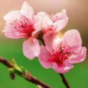 ヒメ日記 2026/03/05 16:46 投稿 夏川 人妻最後の砦 小岩店