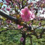 ヒメ日記 2026/03/09 20:00 投稿 夏川 人妻最後の砦 小岩店