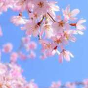 ヒメ日記 2026/03/27 18:20 投稿 夏川 人妻最後の砦 小岩店