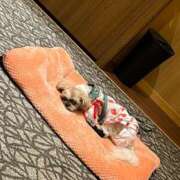 ヒメ日記 2025/10/31 13:50 投稿 朝倉せり 五十路マダム金沢店