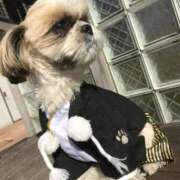 ヒメ日記 2026/01/02 08:02 投稿 朝倉せり 五十路マダム金沢店