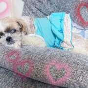 ヒメ日記 2026/02/22 10:56 投稿 朝倉せり 五十路マダム金沢店