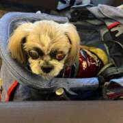 ヒメ日記 2026/02/22 20:16 投稿 朝倉せり 五十路マダム金沢店