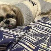 ヒメ日記 2026/02/26 12:30 投稿 朝倉せり 五十路マダム金沢店