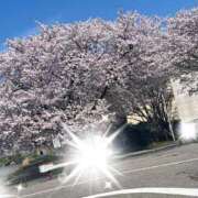 ヒメ日記 2026/04/06 12:36 投稿 朝倉せり 五十路マダム金沢店