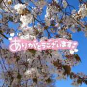ヒメ日記 2025/04/22 13:14 投稿 ゆきみ 上野デリヘル倶楽部