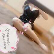 ヒメ日記 2025/09/02 20:14 投稿 雫（しずく） Shiny