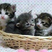 ヒメ日記 2025/05/20 16:38 投稿 かおる 梅田アバンチュール