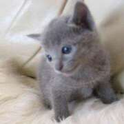 ヒメ日記 2025/06/01 18:02 投稿 かおる 梅田アバンチュール