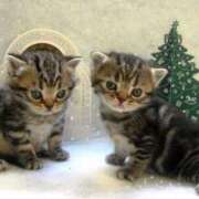 ヒメ日記 2025/06/02 18:04 投稿 かおる 梅田アバンチュール