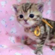 ヒメ日記 2025/06/24 18:31 投稿 かおる 梅田アバンチュール