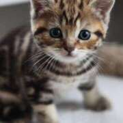 ヒメ日記 2025/07/01 18:11 投稿 かおる 梅田アバンチュール