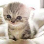 ヒメ日記 2025/07/14 19:03 投稿 かおる 梅田アバンチュール