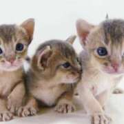 ヒメ日記 2025/07/21 17:52 投稿 かおる 梅田アバンチュール