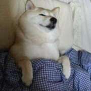 ヒメ日記 2025/08/13 18:05 投稿 かおる 梅田アバンチュール