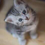 ヒメ日記 2025/09/03 17:51 投稿 かおる 梅田アバンチュール