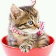 ヒメ日記 2025/09/04 18:03 投稿 かおる 梅田アバンチュール