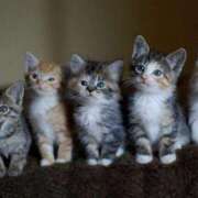 ヒメ日記 2025/09/17 17:50 投稿 かおる 梅田アバンチュール