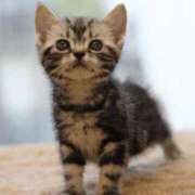 ヒメ日記 2025/10/22 18:06 投稿 かおる 梅田アバンチュール