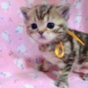 ヒメ日記 2025/11/16 18:22 投稿 かおる 梅田アバンチュール