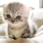 ヒメ日記 2025/11/21 22:32 投稿 かおる 梅田アバンチュール