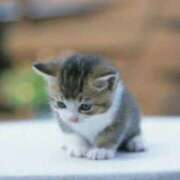 かおる 申し訳ございません 梅田アバンチュール