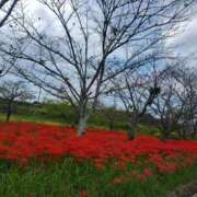 ヒメ日記 2025/10/04 08:56 投稿 はる 東大阪人妻援護会