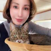 ヒメ日記 2025/02/11 12:01 投稿 白鳥麗子 プレジデントクラブ