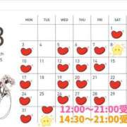 ヒメ日記 2025/02/27 10:45 投稿 白鳥麗子 プレジデントクラブ