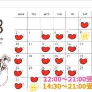 ヒメ日記 2025/03/01 06:49 投稿 白鳥麗子 プレジデントクラブ