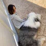 ヒメ日記 2025/04/18 22:08 投稿 白鳥麗子 プレジデントクラブ