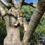 ヒメ日記 2025/07/25 10:30 投稿 白鳥麗子 プレジデントクラブ