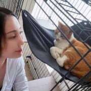 ヒメ日記 2025/08/01 01:34 投稿 白鳥麗子 プレジデントクラブ